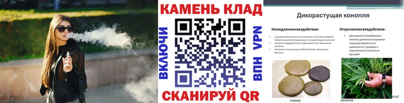 дарнет шоп  Зима  ГАШ Cannabis 