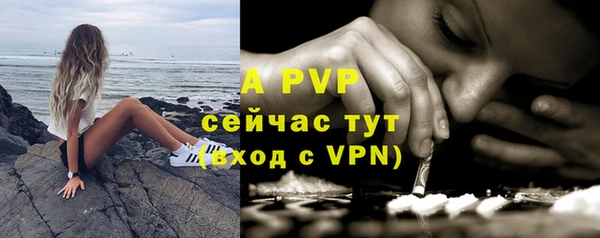 сатива Арсеньев