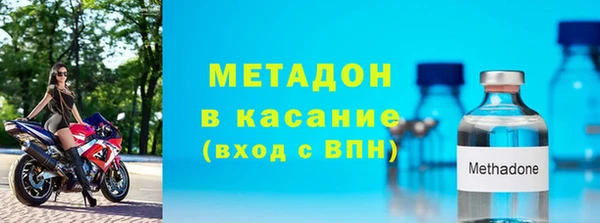сатива Арсеньев