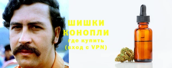 сатива Арсеньев