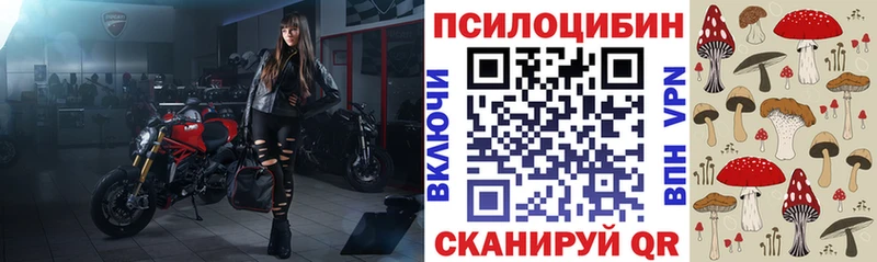 Галлюциногенные грибы мицелий  Зима 